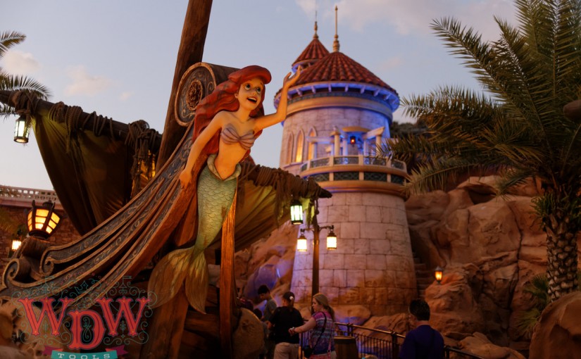 Under the Sea reopens